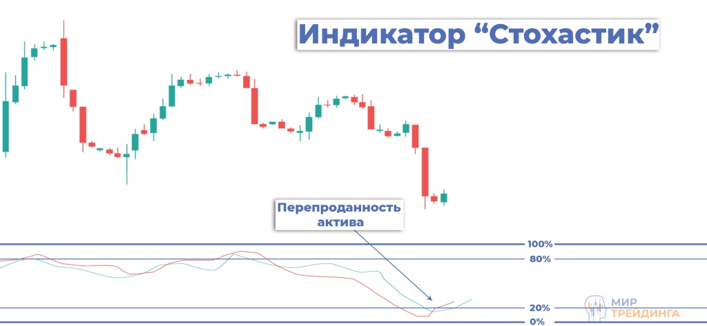 Заключение